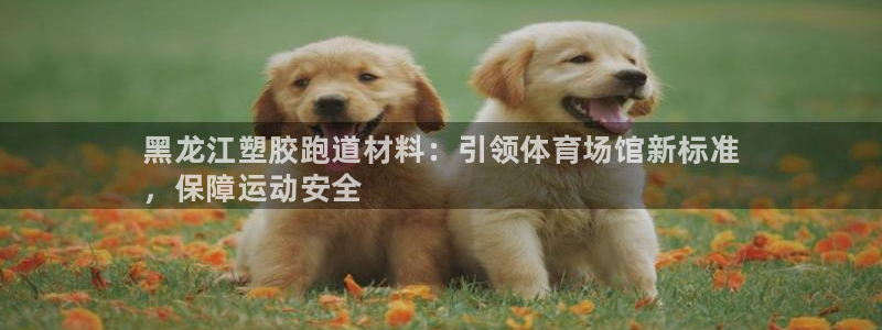 尊龙人生就是博i可靠吗：黑龙江塑胶跑道材料：引领体育场馆新标准
，保障运动安全