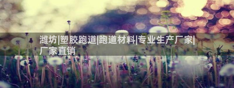 d88尊龙手机登录下载：潍坊|塑胶跑道|跑道材料|专