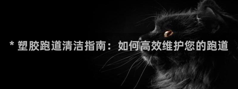 尊龙凯时能提现吗：* 塑胶跑道清洁指南：如何高效维护