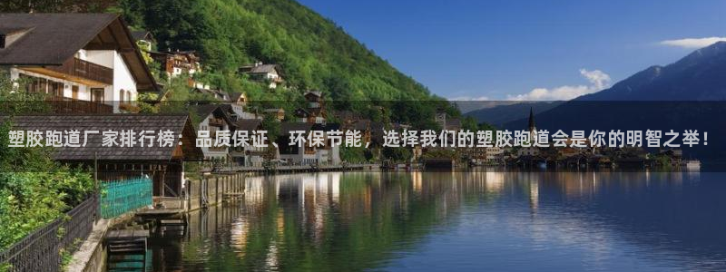 尊龙休闲e站怎么样：塑胶跑道厂家排行榜：品质保证、环