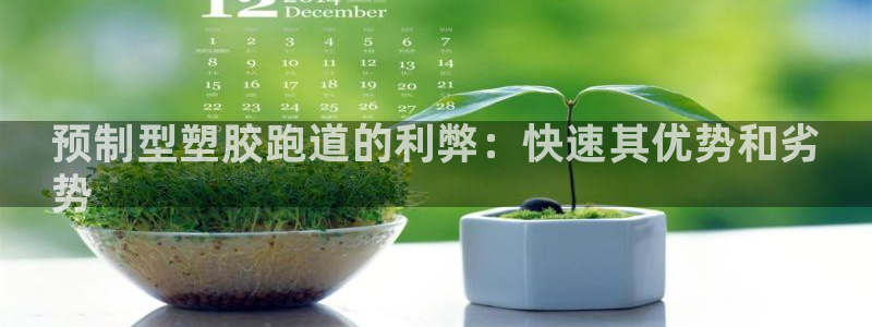 尊龙凯时官网网址：预制型塑胶跑道的利弊：快速其优势和
