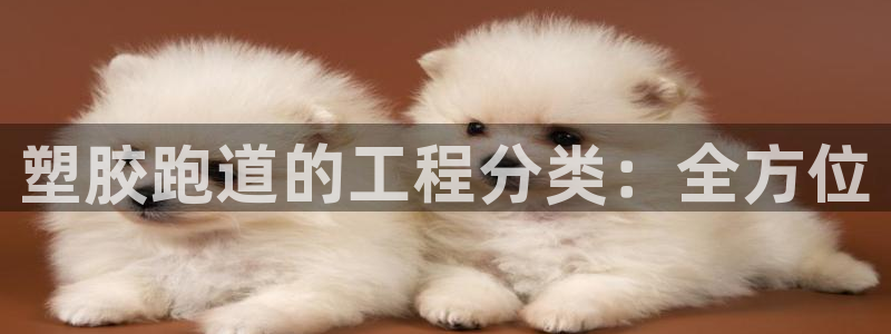 尊龙凯时导航菜单首页：塑胶跑道的工程分类：全方位